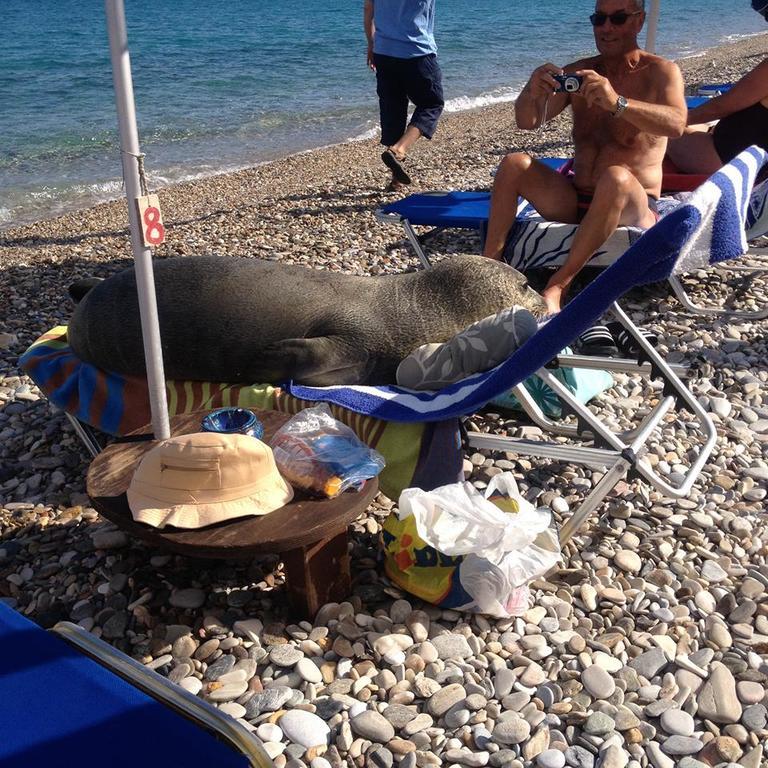 Pansion Giannis Perris Ξενοδοχείο Κοκκάρι Εξωτερικό φωτογραφία